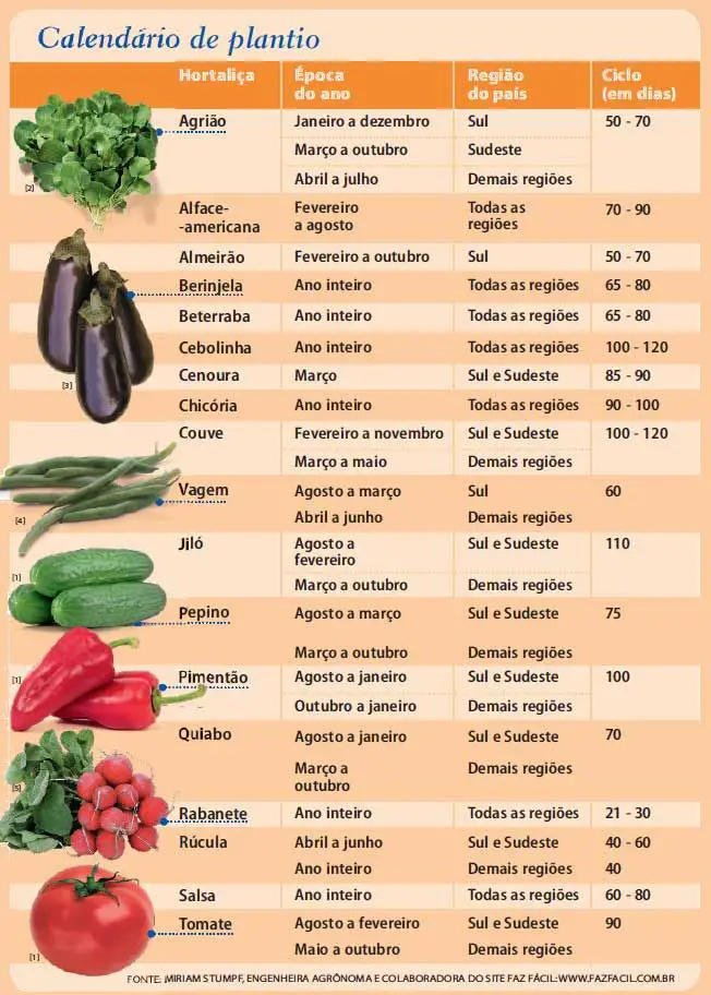 Calendário De Cultivo De Hortaliças Noticias De Jardim