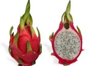 Photo of Plante hum Pitahaya: [Colheita, Cuidado, Pragas e Doenças]