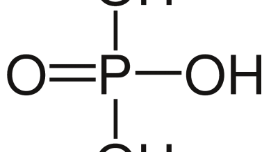 Photo of ácido fosfórico: O Que É e como podemos puxar ou proveito Melhor não dar Jardim?