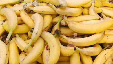 Photo of Uma plantação de banana: Guia completo [responder a todas as Perguntas SUAS como]